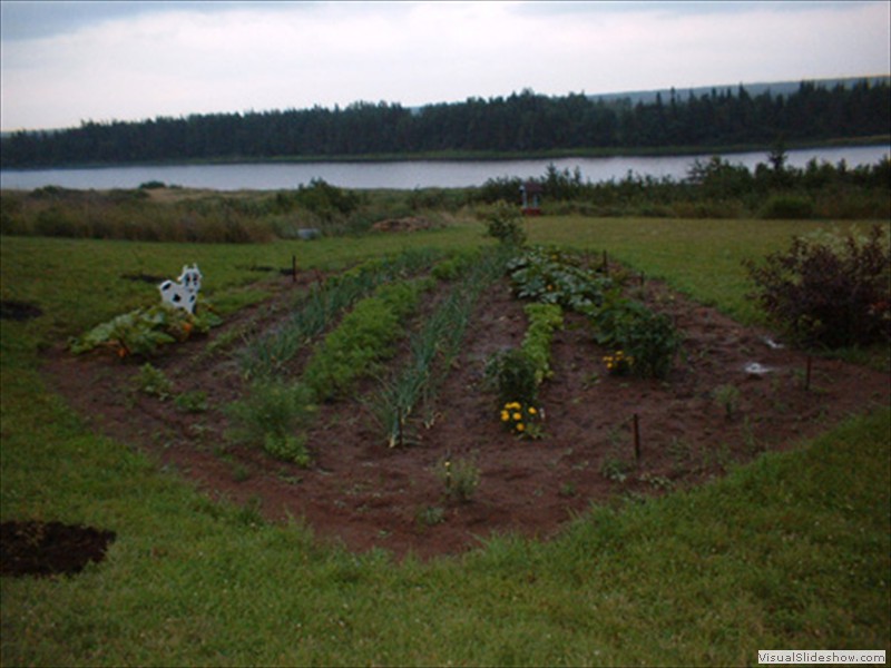 A16_C&I Reid_Vegetable_Patch