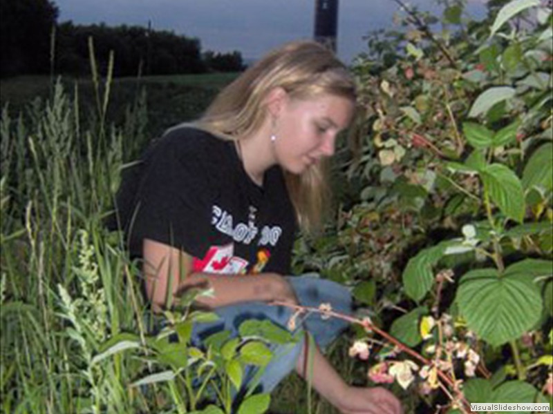 A22_Raspberry_Picking