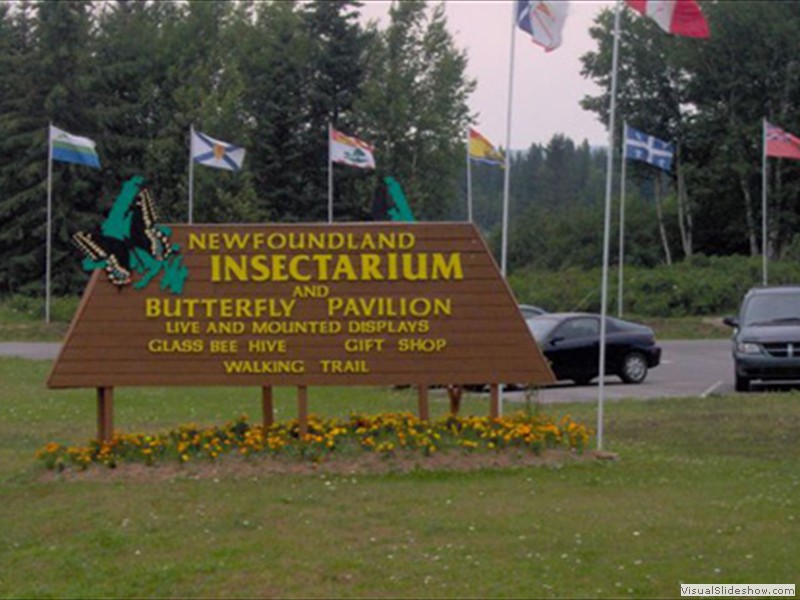 A36_Insectarium_Sign