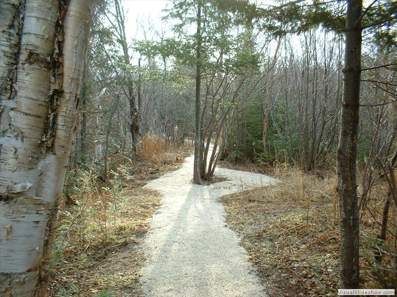 Jones' Trail
